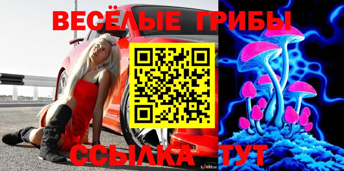 Псилоцибиновые грибы мухоморы  Псилоцибиновые грибы MAGIC MUSHROOMS  Вход с VPN  Абинск 