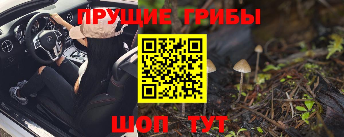 Галлюциногенные грибы Psilocybe Абинск